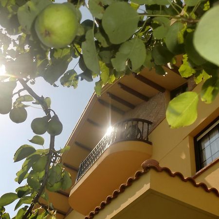 Posada Las Garzas Santoña المظهر الخارجي الصورة